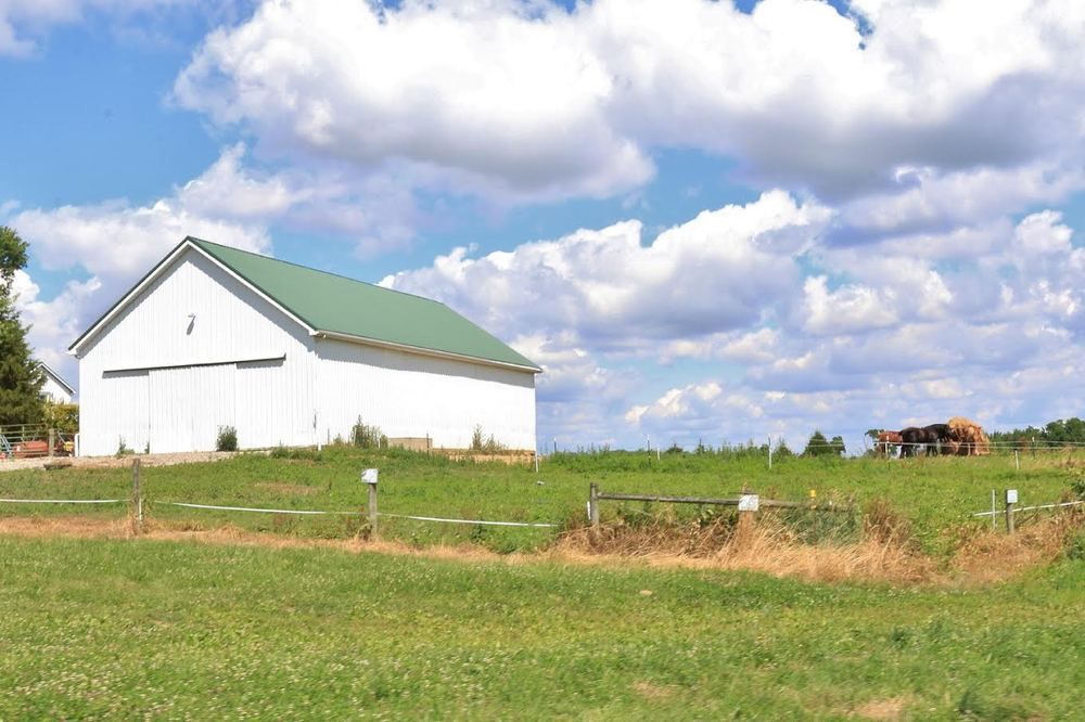 Old Log House Plantation Inc: 8656 State Route 13 NW, Somerset, OH 43783